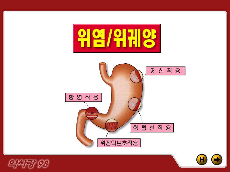 stomach_main.JPG